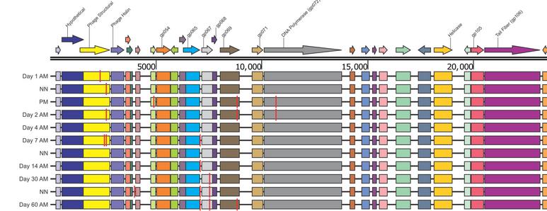 Research figure from the Pride Laboratory — electron micrographs and assay data (figure–project pairing to be confirmed)